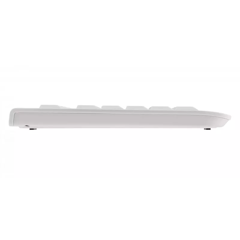 CHERRY KC 1000 Toetsenbord Universeel USB QWERTY US Engels Grijs