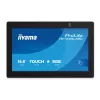Monitor iiyama TW1625LASC-B3PNR 15.6 inch touchscreen LED 1920x1080