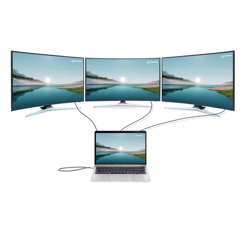 Dock/hub Manhattan USB-C 10 poorten 4K 60Hz Power Delivery