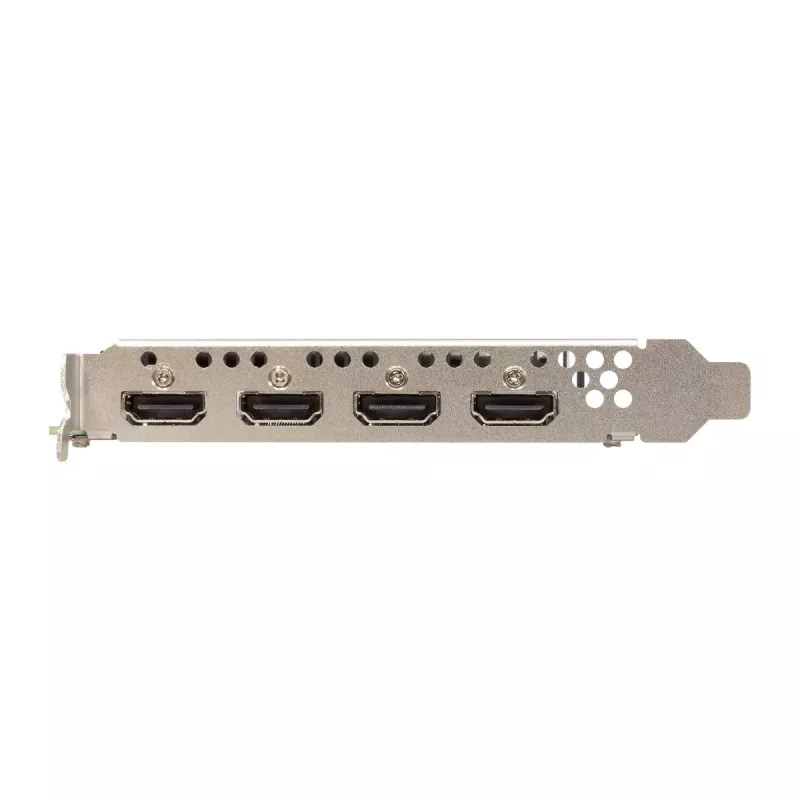 Grafische kaart Sparkle Intel Arc A310 OMNI View — 4 GB GDDR6, 2000 MHz, PCIe 4.0 x8