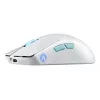 ASUS ROG Harpe Ace Aim Lab Edition muis gaming ambidexter RF draadloos + Bluetooth + USB Type-C opto-mechanisch 36000 DPI