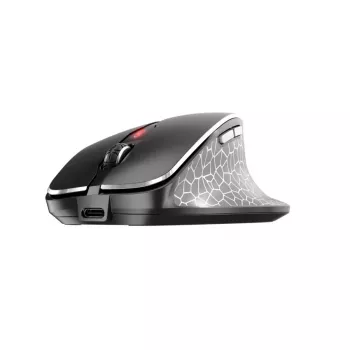 CHERRY MW 8C ERGO muis rechtshandig RF draadloos + Bluetooth optisch 3000 DPI