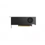 NVIDIA grafische kaart RTX 2000 - Ada Retail