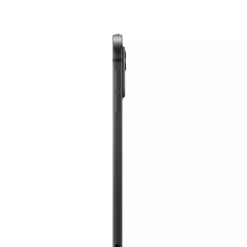 APPLE iPad Pro - M4 - 11 inch - Wi-Fi + Cellular - 2TB - Space Black - standaardglas