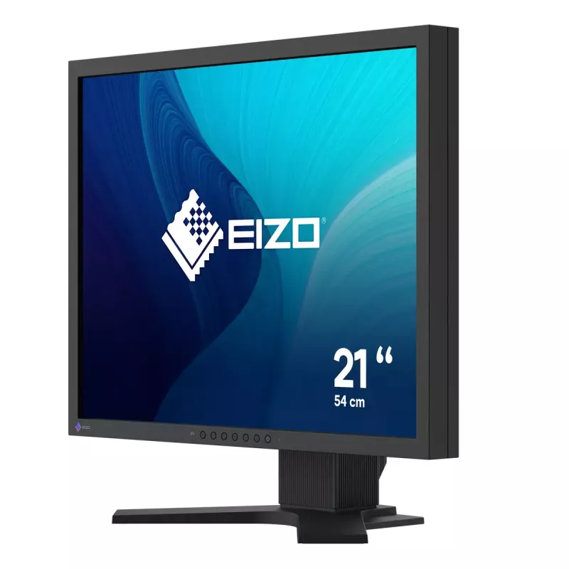 Monitor EIZO FlexScan S2134 21,3 inch LED DisplayPort DVI-D VGA