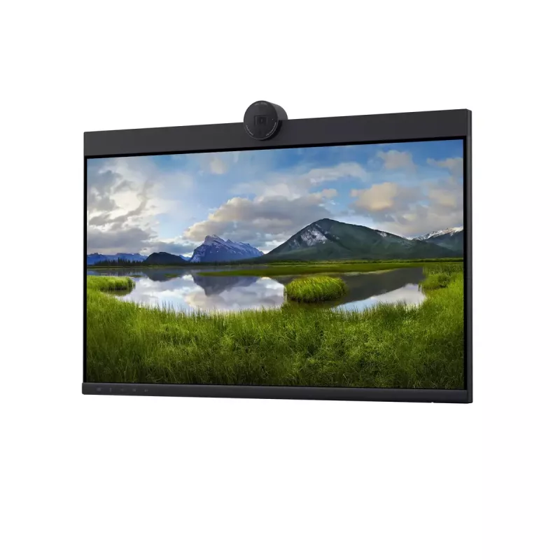 DELL P2424HEB 60,5 cm (23,8 inch) LCD 1920 x 1080 pixels Full HD