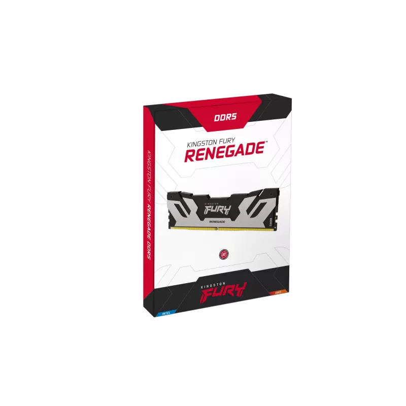 Kingston Technology FURY 96GB 6400MT/s DDR5 CL32 DIMM (kit van 2) Renegade zilver XMP
