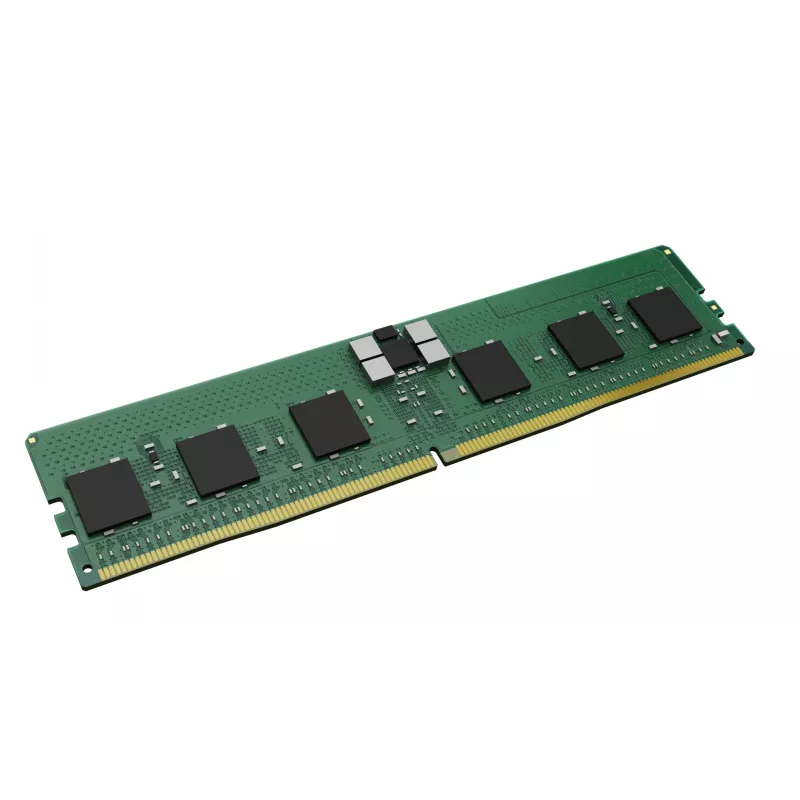 Kingston - DDR5 - module - 24GB - DIMM 288-PIN - 5600 MHz / PC5-44800 - CL46 registered - ECC (KSM56R46BS8PMI-24MBI)