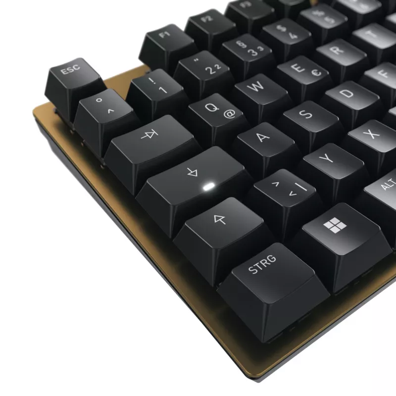 CHERRY KC 200 MX toetsenbord universeel USB QWERTZ Duits zwart, brons
