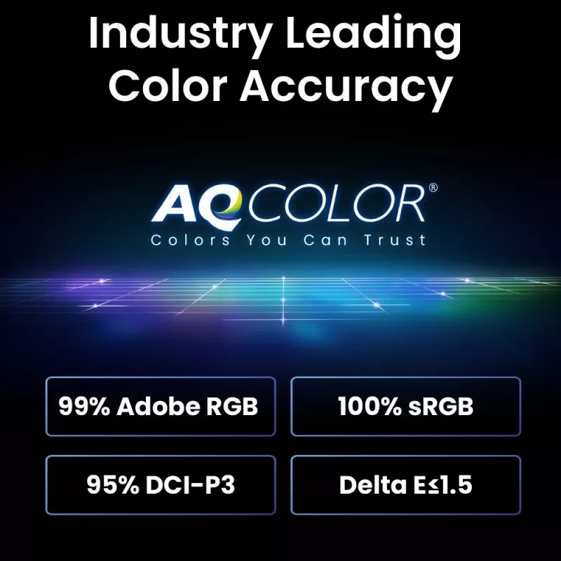 BenQ SW242Q computermonitor 61,2 cm (24,1 inch) 2560 x 1600 pixels WQXGA LED zwart