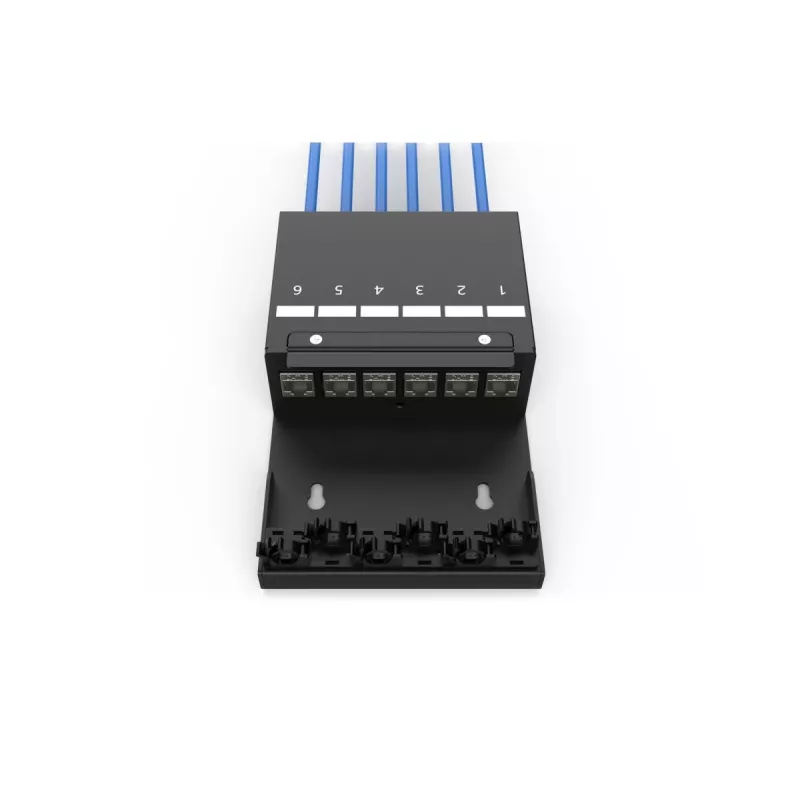 DIGITUS Consolidation Point Box – 6 poorten keystone-modules met slimme kabelmanager