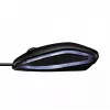 CHERRY GENTIX BEDRADE VERLICHTE MUIS, zwart, USB, dubbelhandig, optisch, USB Type-A, 1000 DPI, zwart