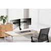 Neomounts FPMA-D860DBLACK monitorarm 10-27 inch