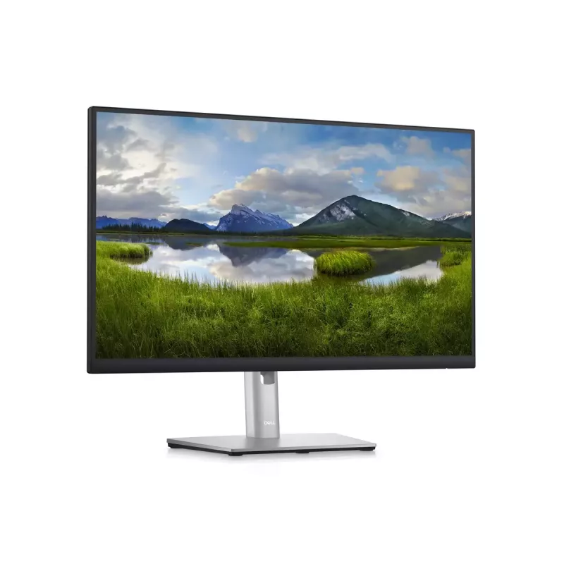 Monitor DELL P2423D 23,8 inch LCD Quad HD 2560 x 1440