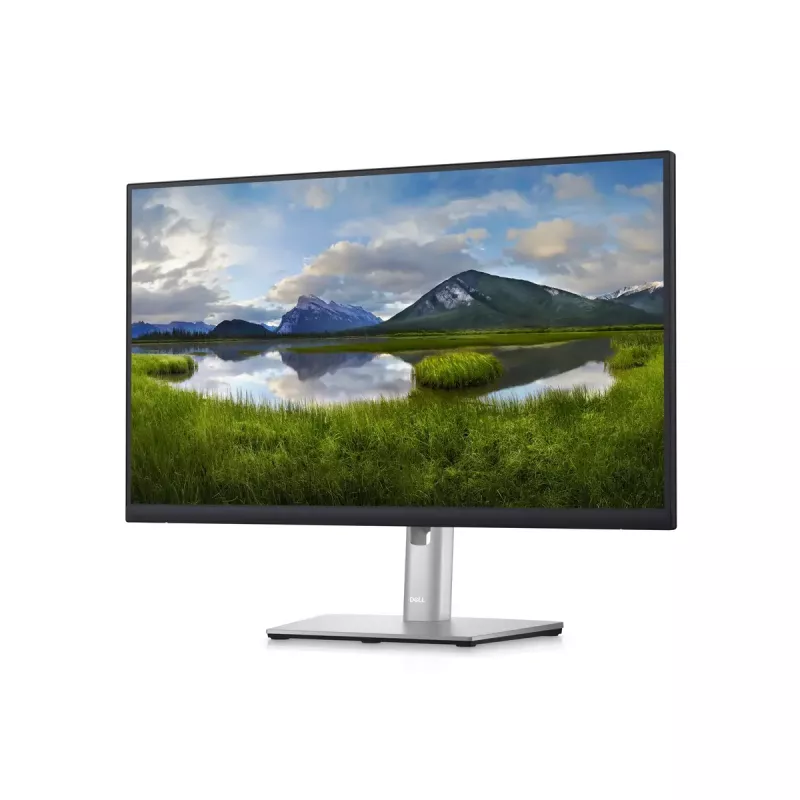 Monitor DELL P2423D 23,8 inch LCD Quad HD 2560 x 1440