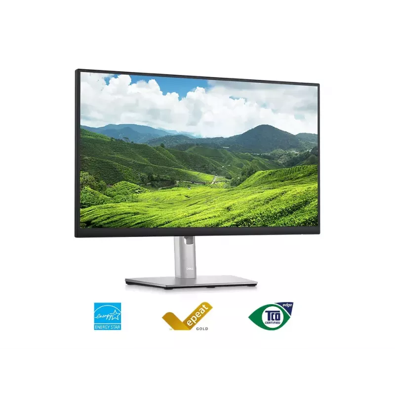 Monitor DELL P2423D 23,8 inch LCD Quad HD 2560 x 1440