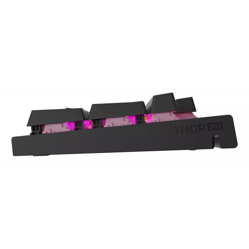 GENESIS NKG-2179 toetsenbord gaming USB QWERTZ Duits zwart