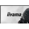 iiyama G-MASTER GB2441HSU-B1 computermonitor 60,5 cm (23,8 inch) 1920 x 1080 pixel Full HD LED zwart