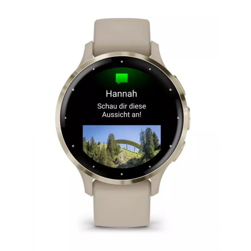 GARMIN INTERNATIONAL Venu 3S - 41 mm - smartwatch met band - Frans - grijs