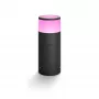Philips Hue White and colour ambience Calla Outdoor-sokkelarmatuur