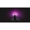 Philips Hue White and colour ambience Calla Outdoor-sokkelarmatuur