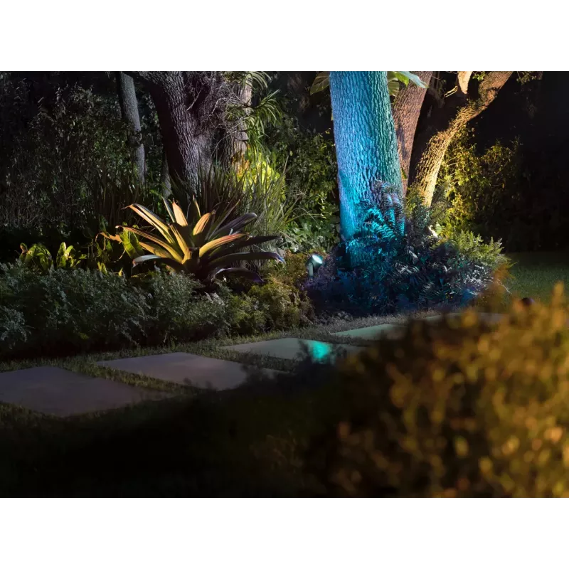 Philips Hue White and Colour Ambience Lily XL Outdoor-schijnwerper