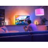 Philips Hue White and Colour Ambience Play Gradient Lightstrip 55 inch