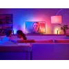 Philips Hue White and Colour Ambience Play Gradient Lightstrip 55 inch