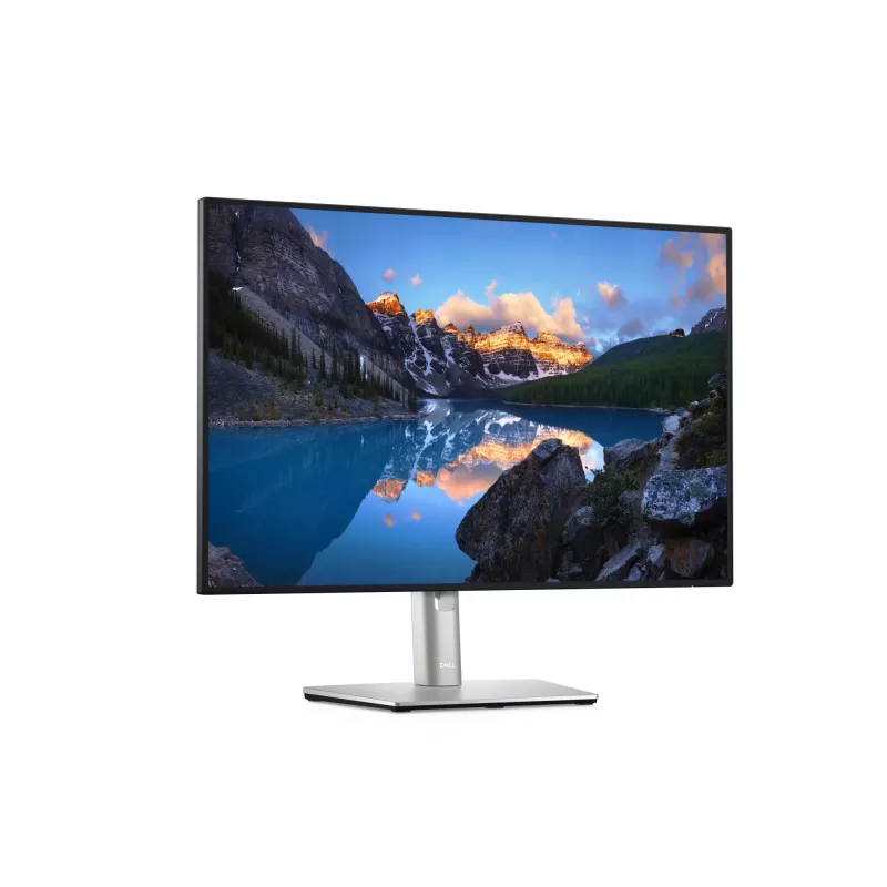 DELL UltraSharp U2421E Computerscherm 61,2 cm (24,1 inch) 1920 x 1200 Pixel WUXGA LCD Zilver