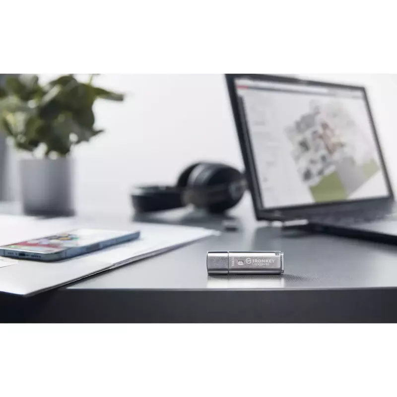 Kingston Technology IronKey 128GB IKLP50 AES USB met 256-bits versleuteling
