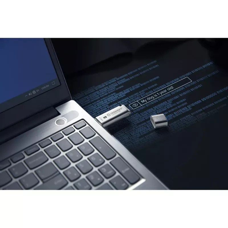 Kingston Technology IronKey 128GB IKLP50 AES USB met 256-bits versleuteling