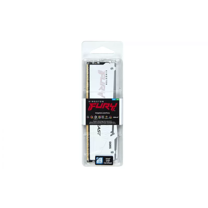 Kingston Technology FURY Beast 32GB 6000MT/s DDR5 CL30 DIMM wit RGB EXPO