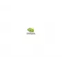 NVIDIA RTX A1000 900-5G172-2280-000 videokaart, 8 GB GDDR6, PCIe 4.0 x8, low profile, 4x Mini DisplayPort