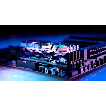DIMM 64 GB DDR4-3600 (4x 16 GB) quad-kit, werkgeheugen zilver, F4-3600C16Q-64GTESC, Trident Z Royal Elite, INTEL XMP