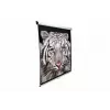Projectiescherm Elite Screens M99UWS1