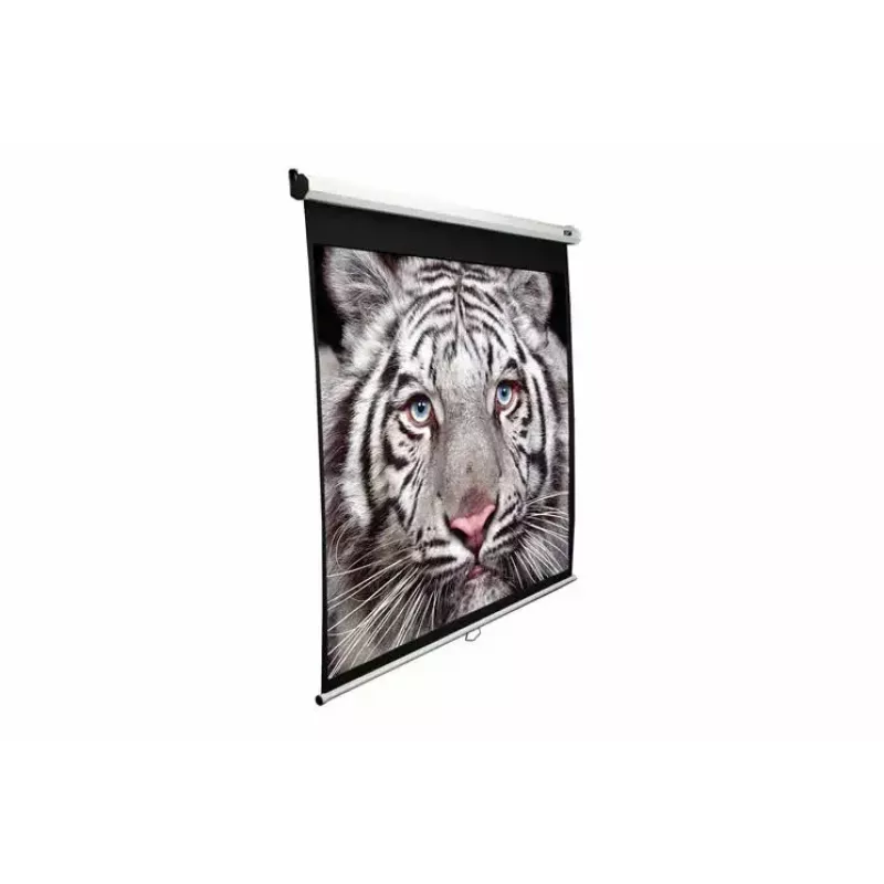 Projectiescherm Elite Screens M113UWS1