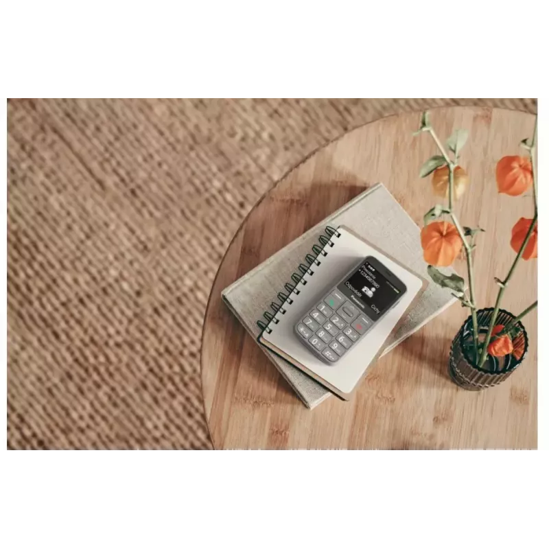 Mobiele telefoon Panasonic KX-TU160 2,4 inch