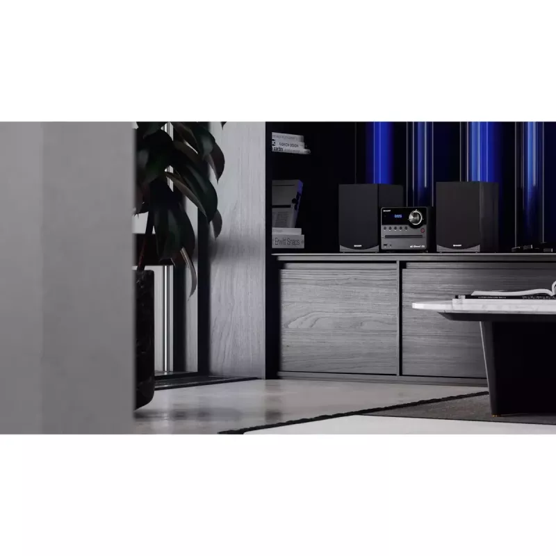 Sharp XL-B517D home-audio microsysteem 45 W zwart