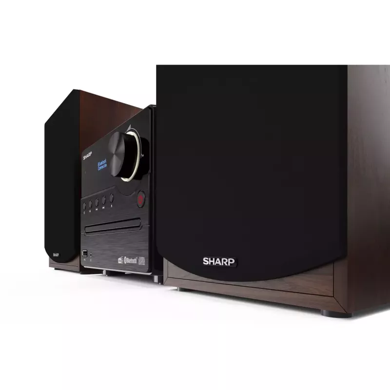 Sharp XL-B517D home-audio microsysteem 45 W bruin