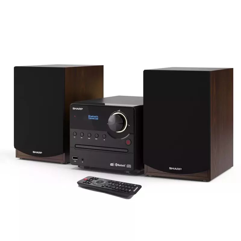 Sharp XL-B517D home-audio microsysteem 45 W bruin