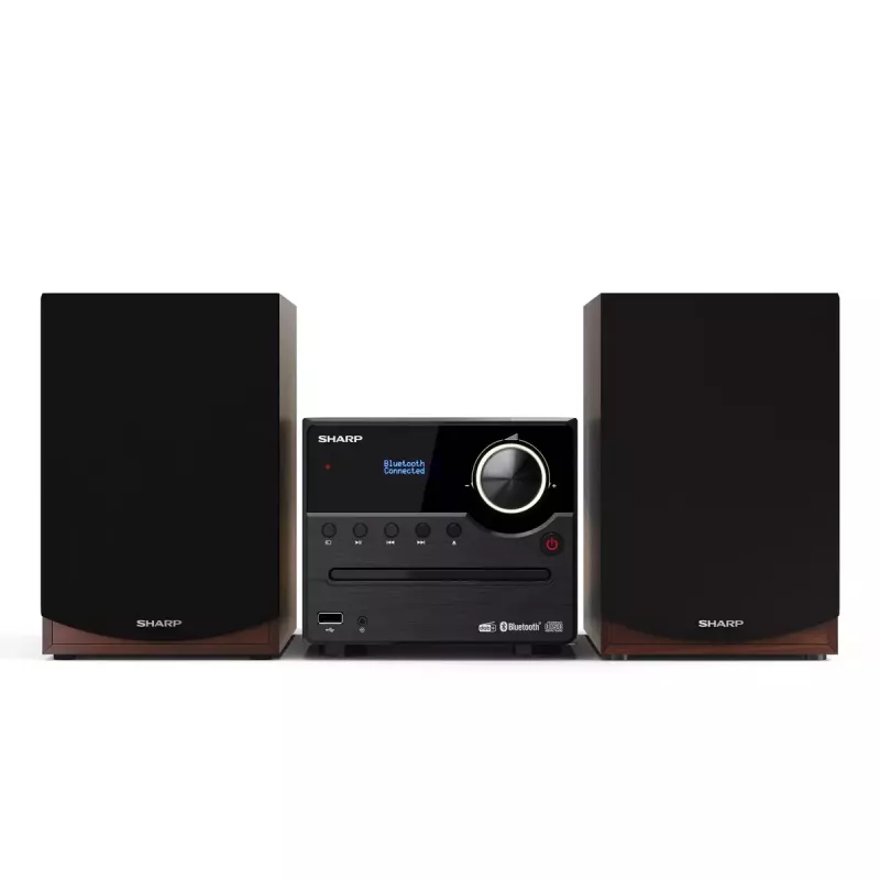 Sharp XL-B517D home-audio microsysteem 45 W bruin