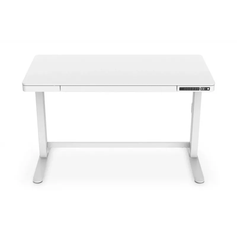 DIGITUS elektrisch in hoogte verstelbaar bureau 120x60x12cm met USB wit