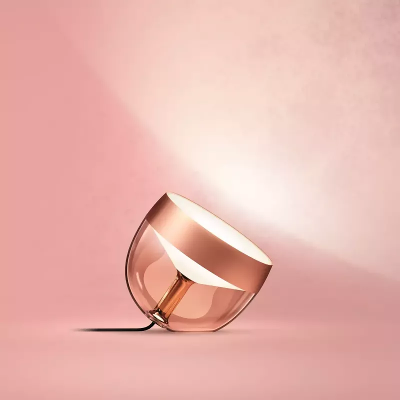 Slimme tafellamp Philips Hue Iris koper Sonderedition — 1 lichtbron, Bluetooth en Zigbee, 100–240V, 2m kabel