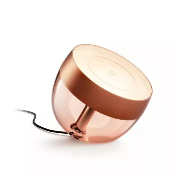 Slimme tafellamp Philips Hue Iris koper Sonderedition — 1 lichtbron, Bluetooth en Zigbee, 100–240V, 2m kabel