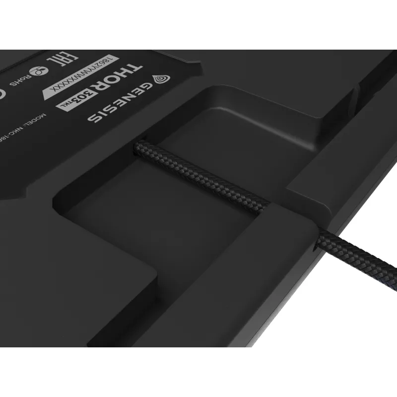 GENESIS Thor 303 TKL toetsenbord gaming USB QWERTY zwart RGB LED