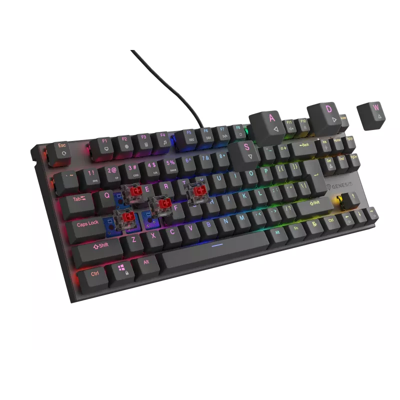 GENESIS Thor 303 TKL toetsenbord gaming USB QWERTY zwart RGB LED