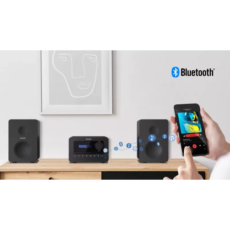 Sharp TOKYO DAB+ HI-FI Micro Systeem Home-audio-microsysteem 40 W Zwart