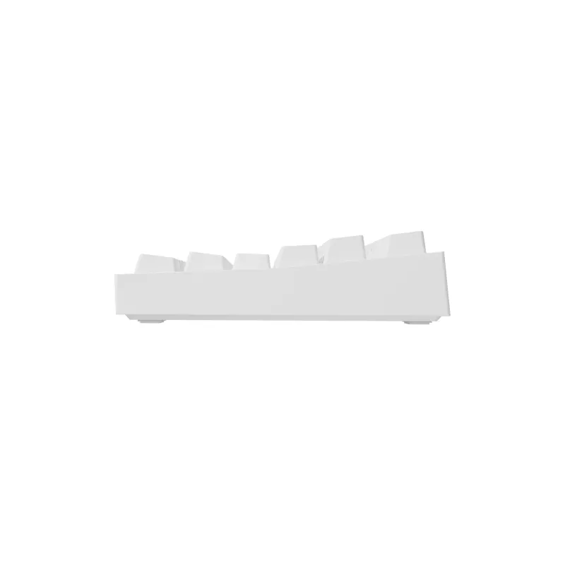 GENESIS Thor 404 TKL toetsenbord gaming USB QWERTY US International wit