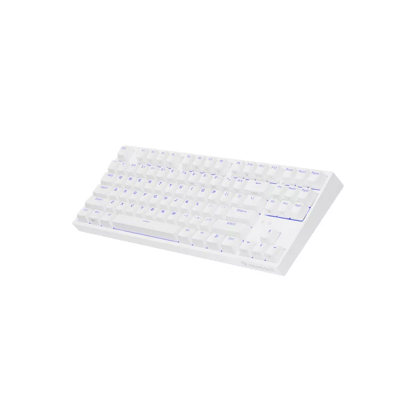 GENESIS Thor 404 TKL toetsenbord gaming USB QWERTY US International wit
