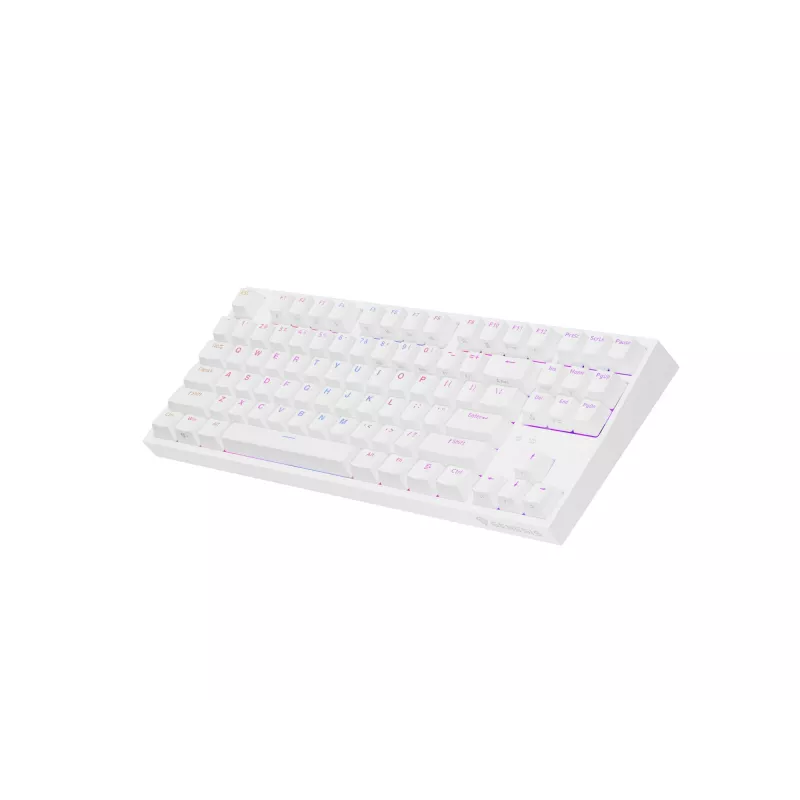 GENESIS Thor 404 TKL toetsenbord gaming USB QWERTY US International wit